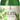 Sir James 101 Mojito Mocktail